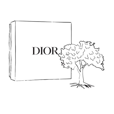 the eco shipping box dior|Dior wrapping paper.